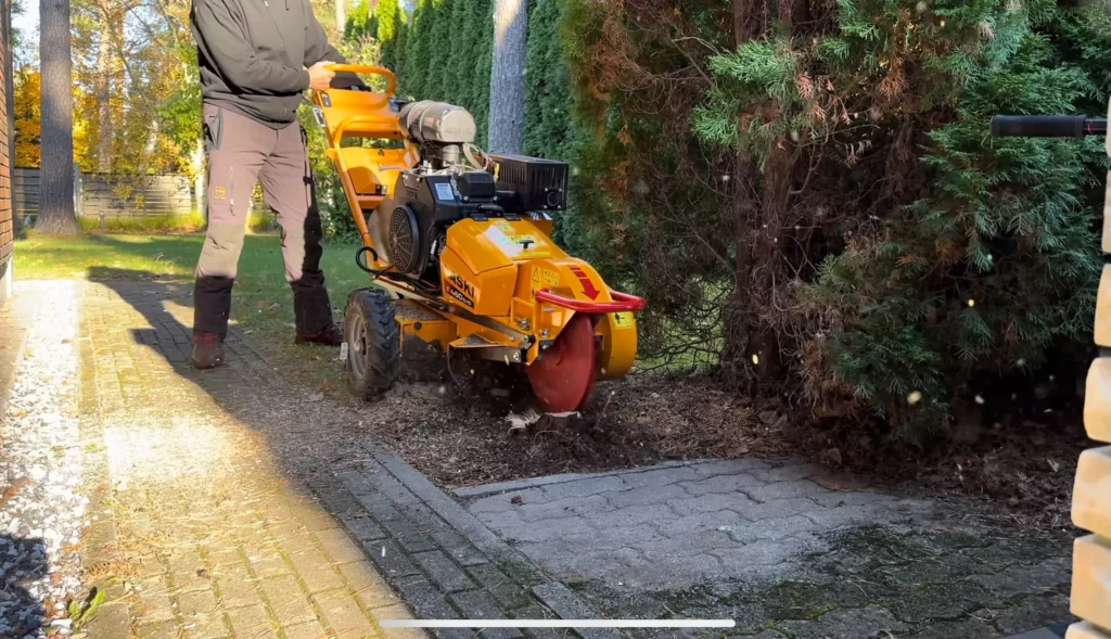 Kändude freesimine